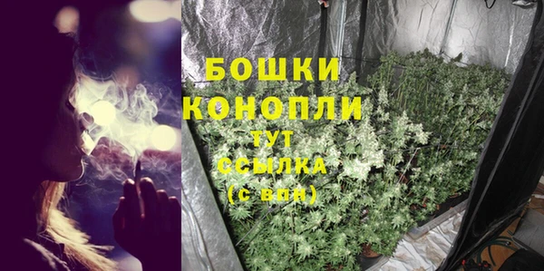 PSILOCYBIN Надым