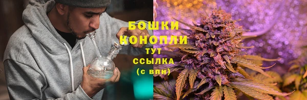 трава Нефтекумск