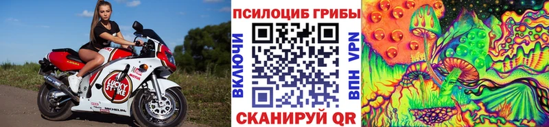 где купить наркотик Ишим Галлюциногенные грибы мухоморы