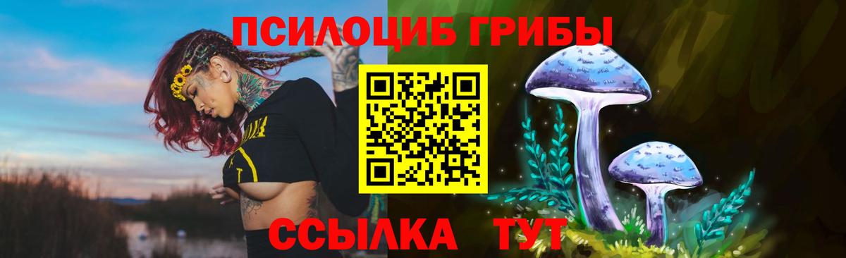 Псилоцибиновые грибы мицелий  Галлюциногенные грибы GOLDEN TEACHER  купить наркоту  Ишим  Вход с VPN 